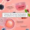 imagegrace ampamp stella Award Winning Lip Butter  Lip Balm Hydrating  Nourishing Lip Mask 3pack Airplane Travel Essentials Beach Vacation and Purse Essentials  Lip Moisturizer for Dry Lips  VeganPack of 3