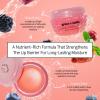 imagegrace ampamp stella Award Winning Lip Butter  Lip Balm Hydrating  Nourishing Lip Mask 3pack Airplane Travel Essentials Beach Vacation and Purse Essentials  Lip Moisturizer for Dry Lips  VeganPack of 1